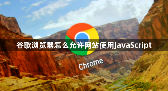 谷歌浏览器怎么允许网站使用JavaScript1