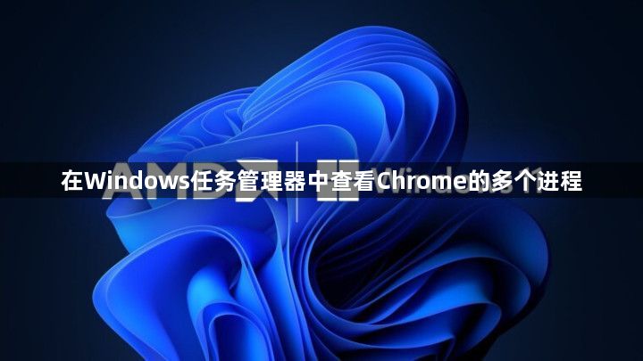 在Windows任务管理器中查看Chrome的多个进程1