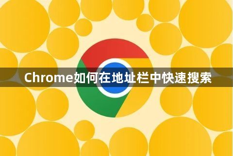 Chrome如何在地址栏中快速搜索1