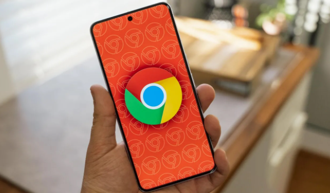 Chrome浏览器与Google Chrome的设置差异1