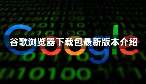 谷歌浏览器下载包最新版本介绍1