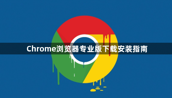Chrome浏览器专业版下载安装指南1