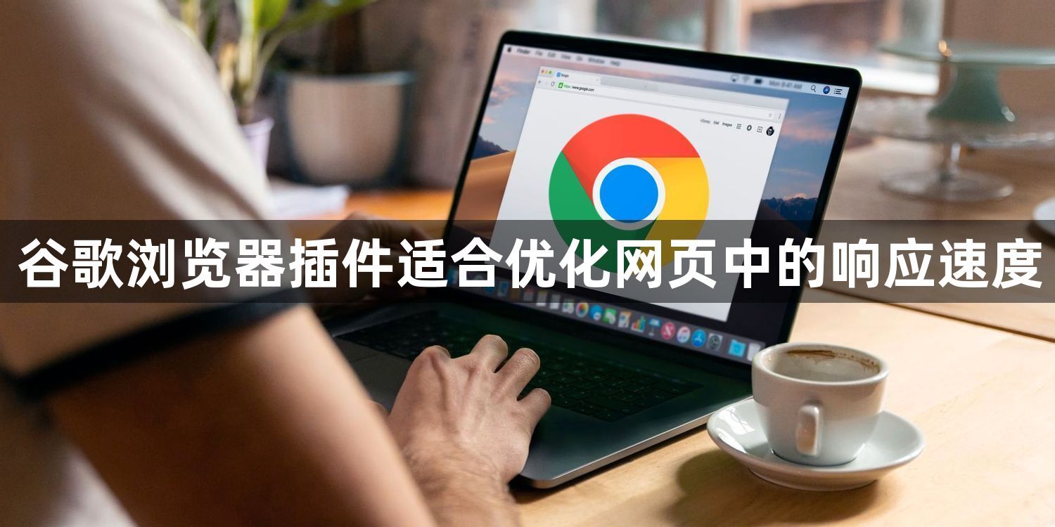 谷歌浏览器插件适合优化网页中的响应速度1