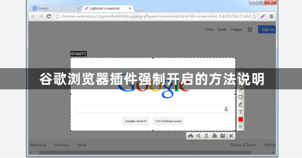 谷歌浏览器插件强制开启的方法说明1