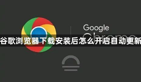 谷歌浏览器下载安装后怎么开启自动更新1