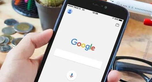 Chrome浏览器下载安装包在不同系统上的表现1