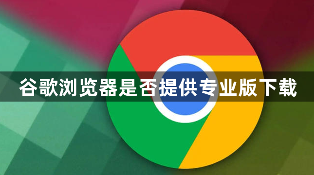 谷歌浏览器是否提供专业版下载1