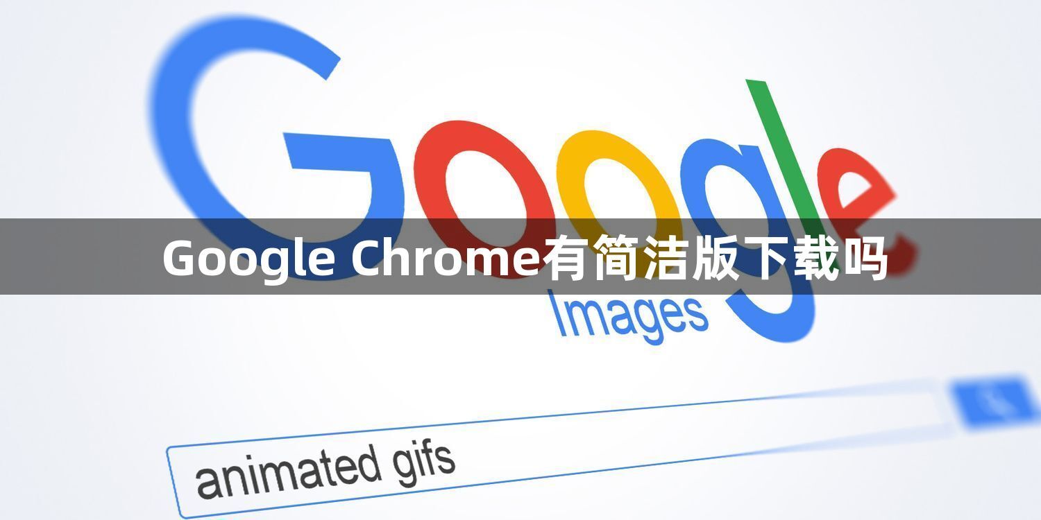 Google Chrome有简洁版下载吗1