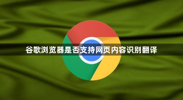 谷歌浏览器是否支持网页内容识别翻译1
