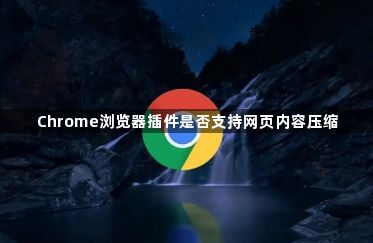 Chrome浏览器插件是否支持网页内容压缩1