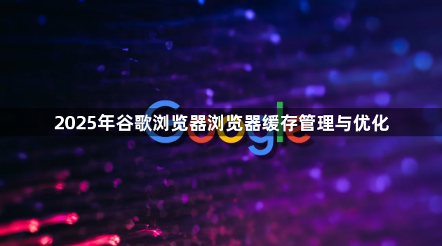 2025年谷歌浏览器浏览器缓存管理与优化1