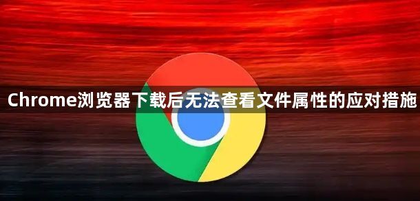 Chrome浏览器下载后无法查看文件属性的应对措施1