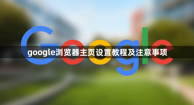 google浏览器主页设置教程及注意事项1