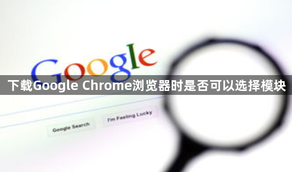 下载Google Chrome浏览器时是否可以选择模块1