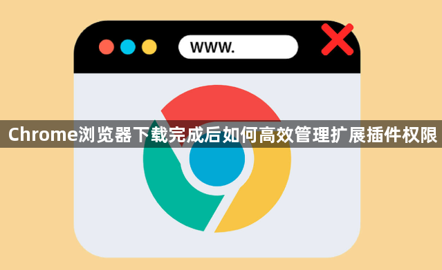 Chrome浏览器下载完成后如何高效管理扩展插件权限1