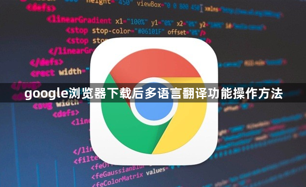 google浏览器下载后多语言翻译功能操作方法1