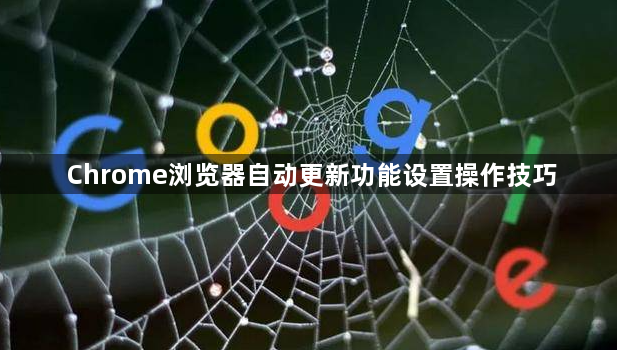 Chrome浏览器自动更新功能设置操作技巧1