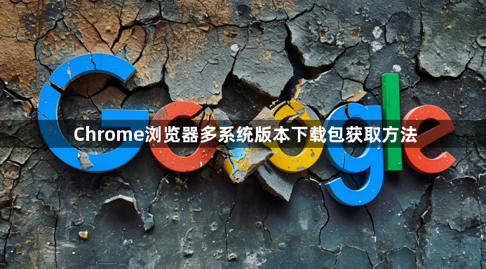 Chrome浏览器多系统版本下载包获取方法1